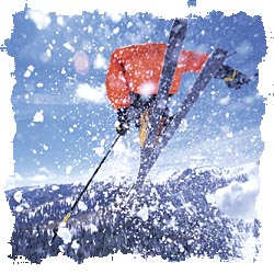 snowboard picture